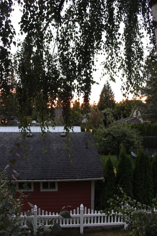 Tonight there was a beautiful sunset best captured from the tree house at the Clayburn Village B&B (Abbotsford, B.C.).